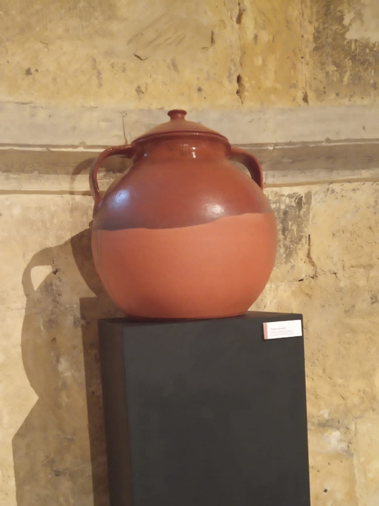 Exposición 49
